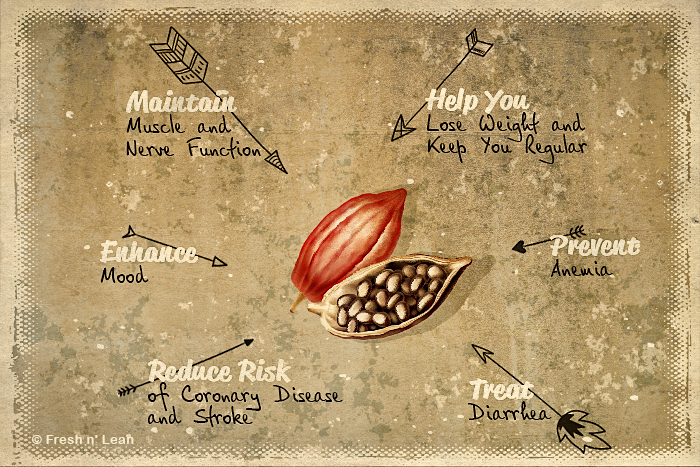 Health Benefits of Cacao Bean