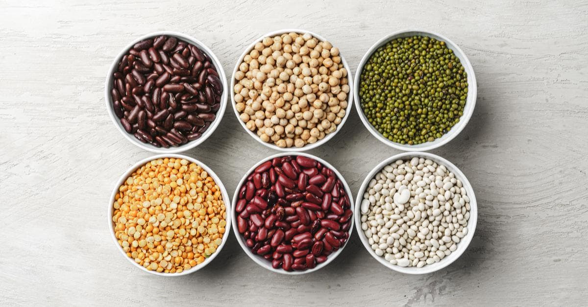Vegan Protein: Nuts, Beans, Meat Substitutes and More